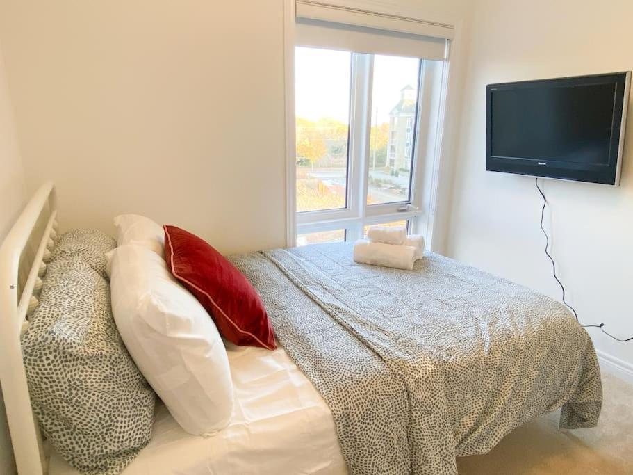 Elegant Rooms In Shared Townhouse Next To Beach Whitby Exterior photo